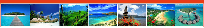 Araamu Travel